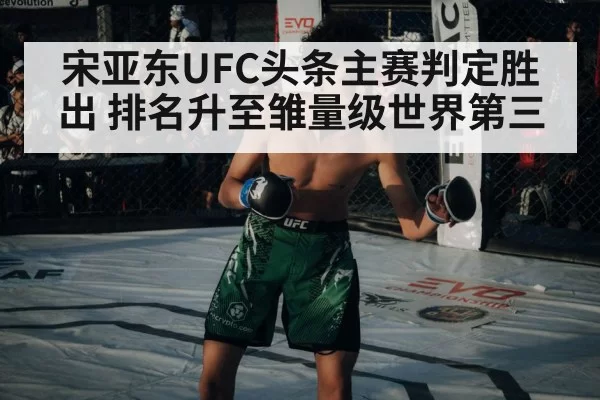 宋亚东UFC头条主赛判定胜出 排名升至雏量级世界第三