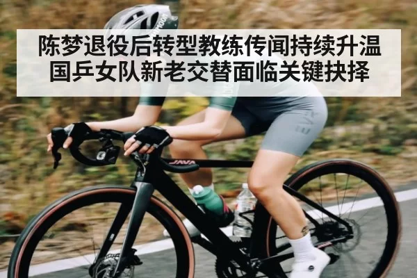 陈梦退役后转型教练传闻持续升温 国乒女队新老交替面临关键抉择 - NG28